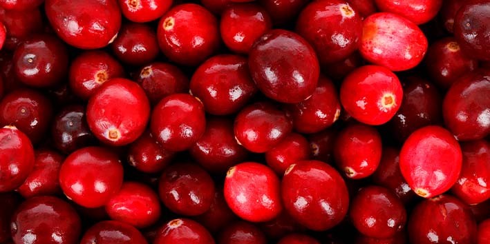 Cranberry combate e previne infec??o do trato urinario